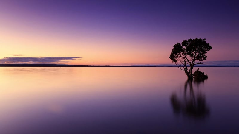 Sunset in a Remote Location